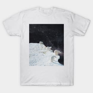 Flat Earth T-Shirt